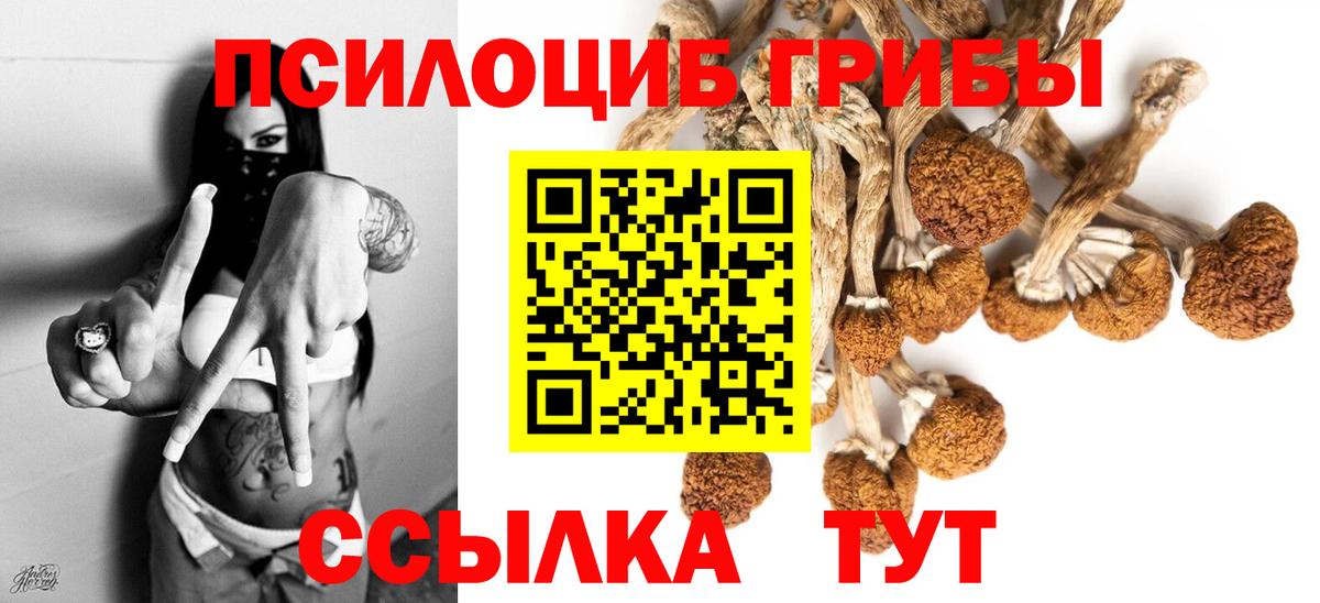 Псилоцибиновые грибы Magic Shrooms Новотроицк