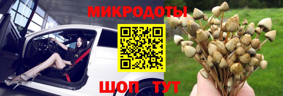 Новотроицк  Галлюциногенные грибы прущие грибы  Вход с VPN 